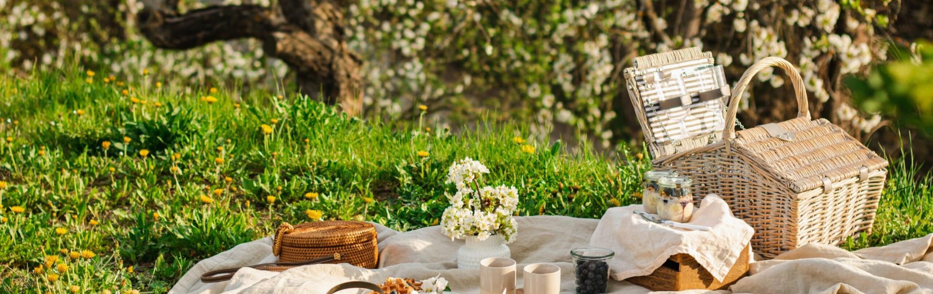 Breakfast,Picnic,With,Waffles,And,Tea,In,Spring,Blossom,Garden